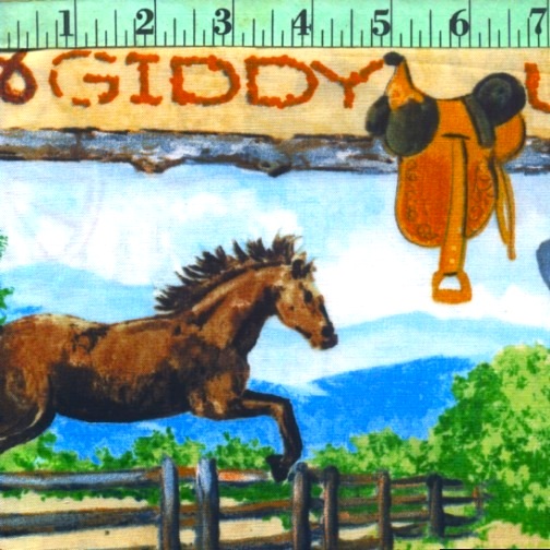 Open Range: Country Panel